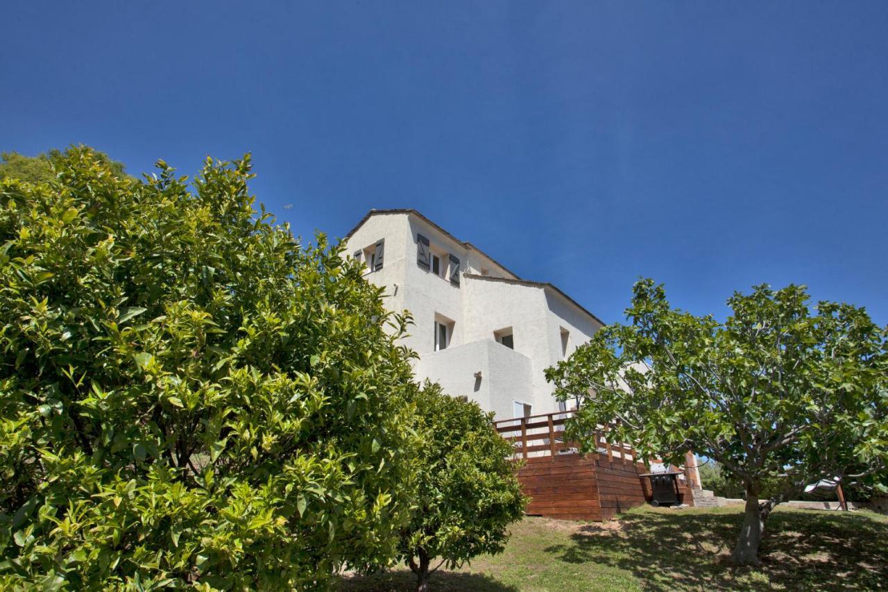 Vita Nova Santa-Maria-di-Lota Экстерьер фото