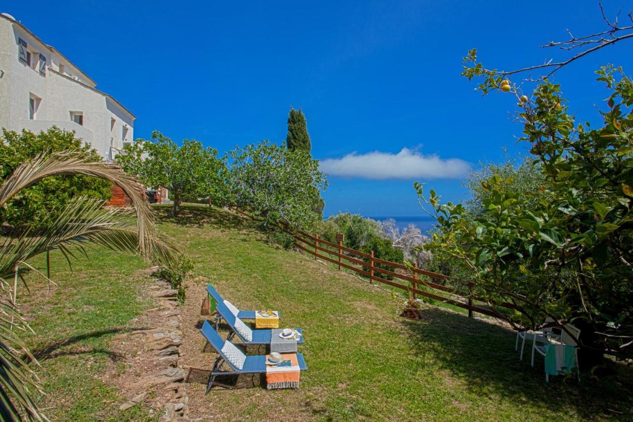 Vita Nova Santa-Maria-di-Lota Экстерьер фото